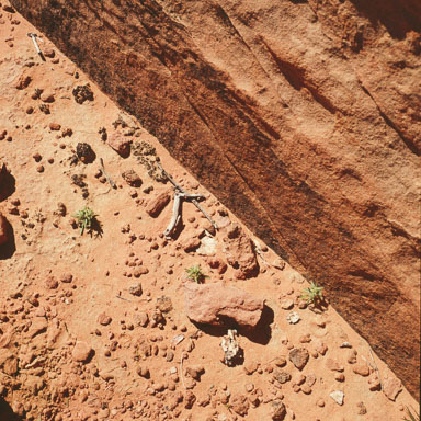 Valley of Fire 1980 Valley of Fire 1980