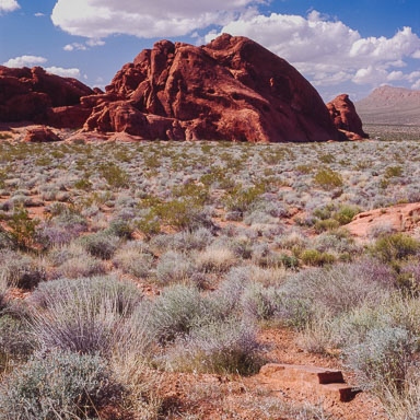 Valley of Fire 1980